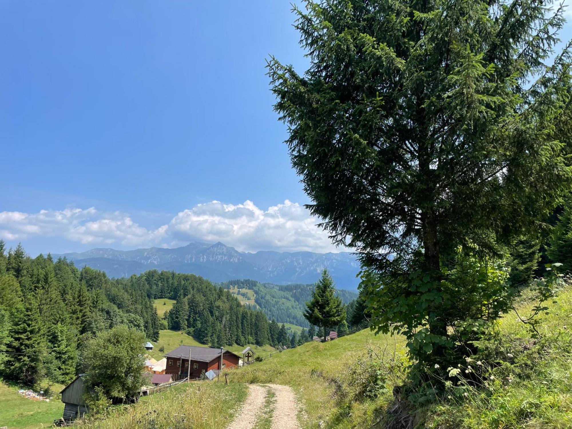 Andolia Villa Моечу де Жос Екстериор снимка