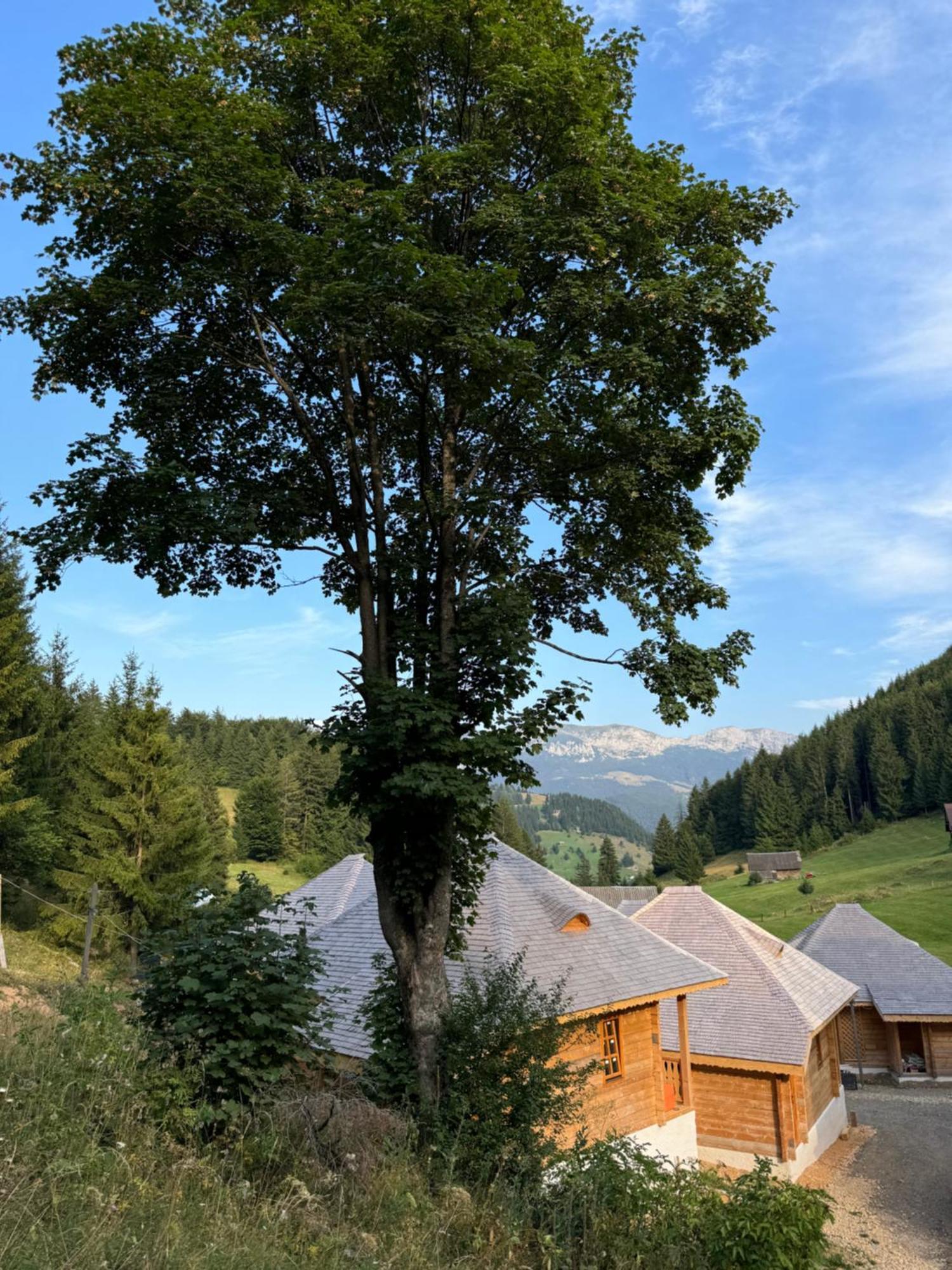 Andolia Villa Моечу де Жос Екстериор снимка